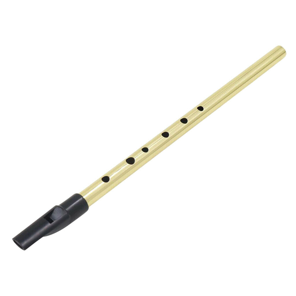 Metal Tin Whistle Irish D Flute Penny Whistle Six-holed Woodwind Golden Part