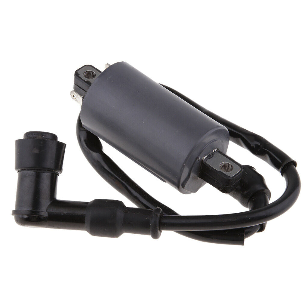 Performance Ignition Coil for Buyang 300CC D300 G300 H300 Dirt Bike BUGGY