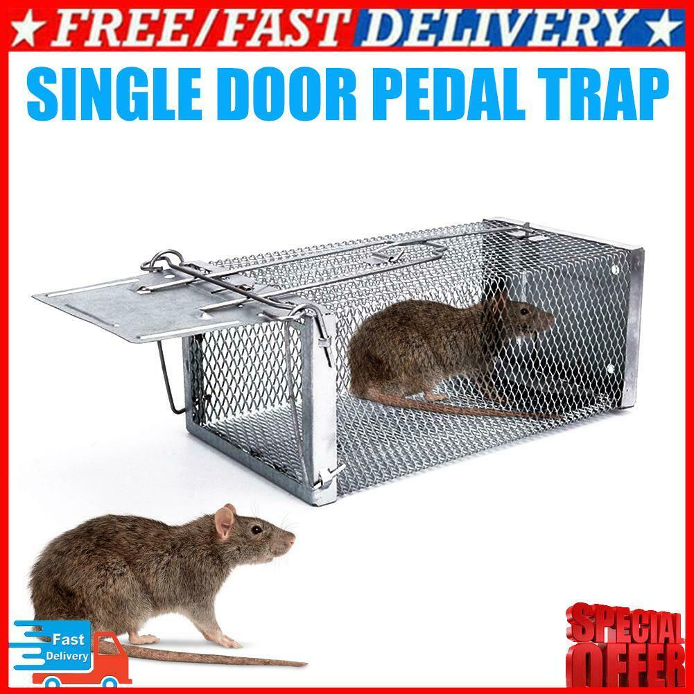 Mouse Mice Rat Killer Indoor Outdoor Animal Control Cage Live Trap Catch Cage