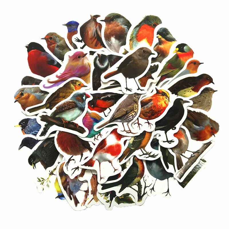 40Pcs/set Robin Birds Decorative Stickers Adhesive Stickers DIY Diary Sta.l8