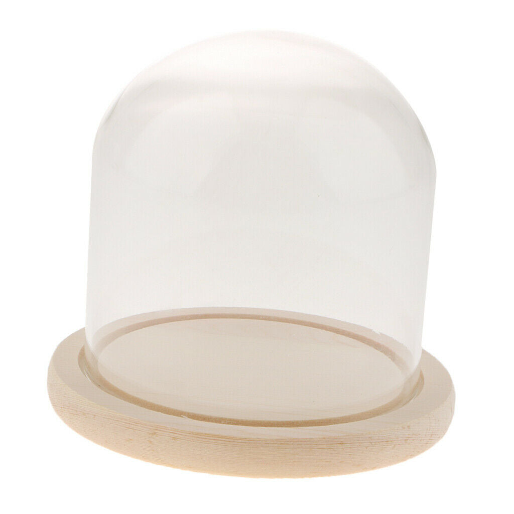 Glass Cloche Micro Landscape Plant Flower Mini Garden Dome Cover Vases