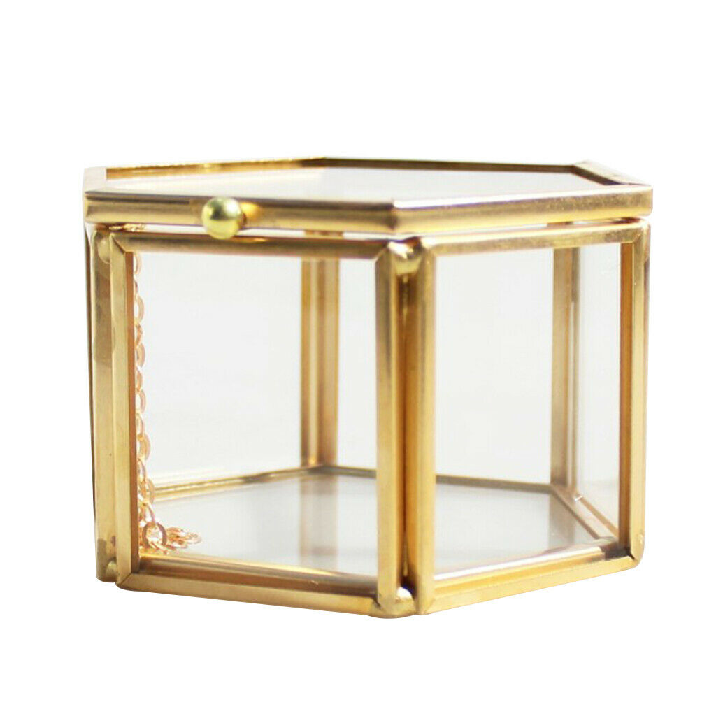 2 Pieces Modern Glass and Brass Cube Shaped Tabletop Succulent Plant Terrarium