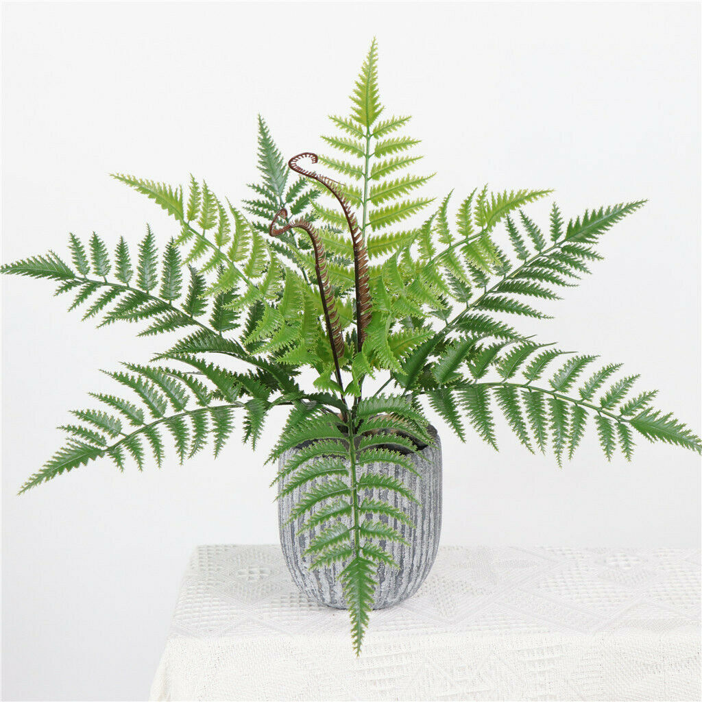 Natural Real Dried Leaves Press Dry Ferns Leaves for Nail Art Decor DIY