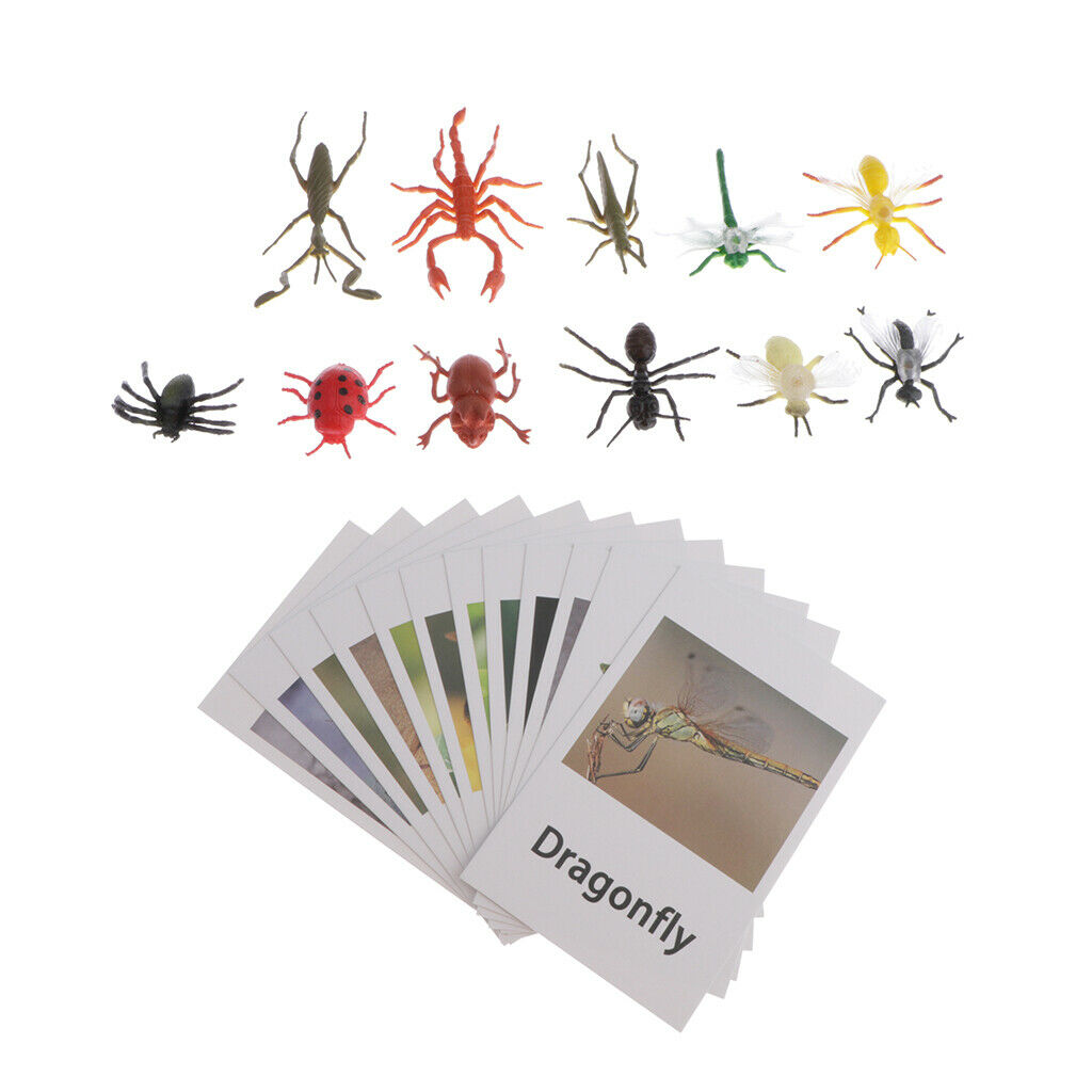 12pcs Insect Animal Match, with Learning Language Kids Cognitive Skills