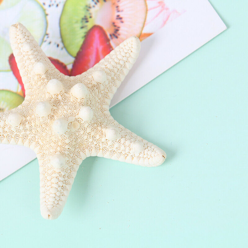 Fashion Lady Hair Clips Women Girls Starfish Sea Star Hairpins Beach Barr.l8