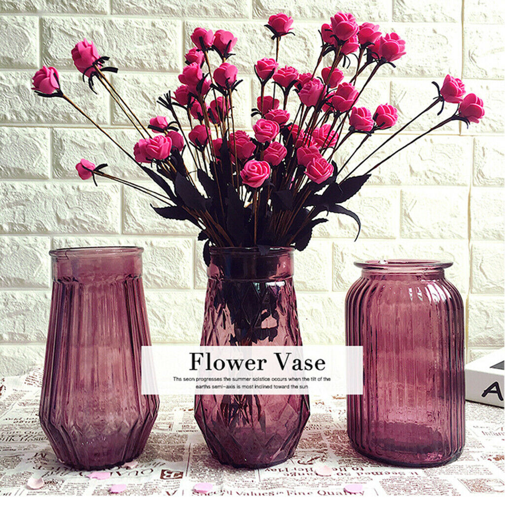 Glass Stand Plant Flower Vase Hydroponic Container Bottle Home Room Decor #3