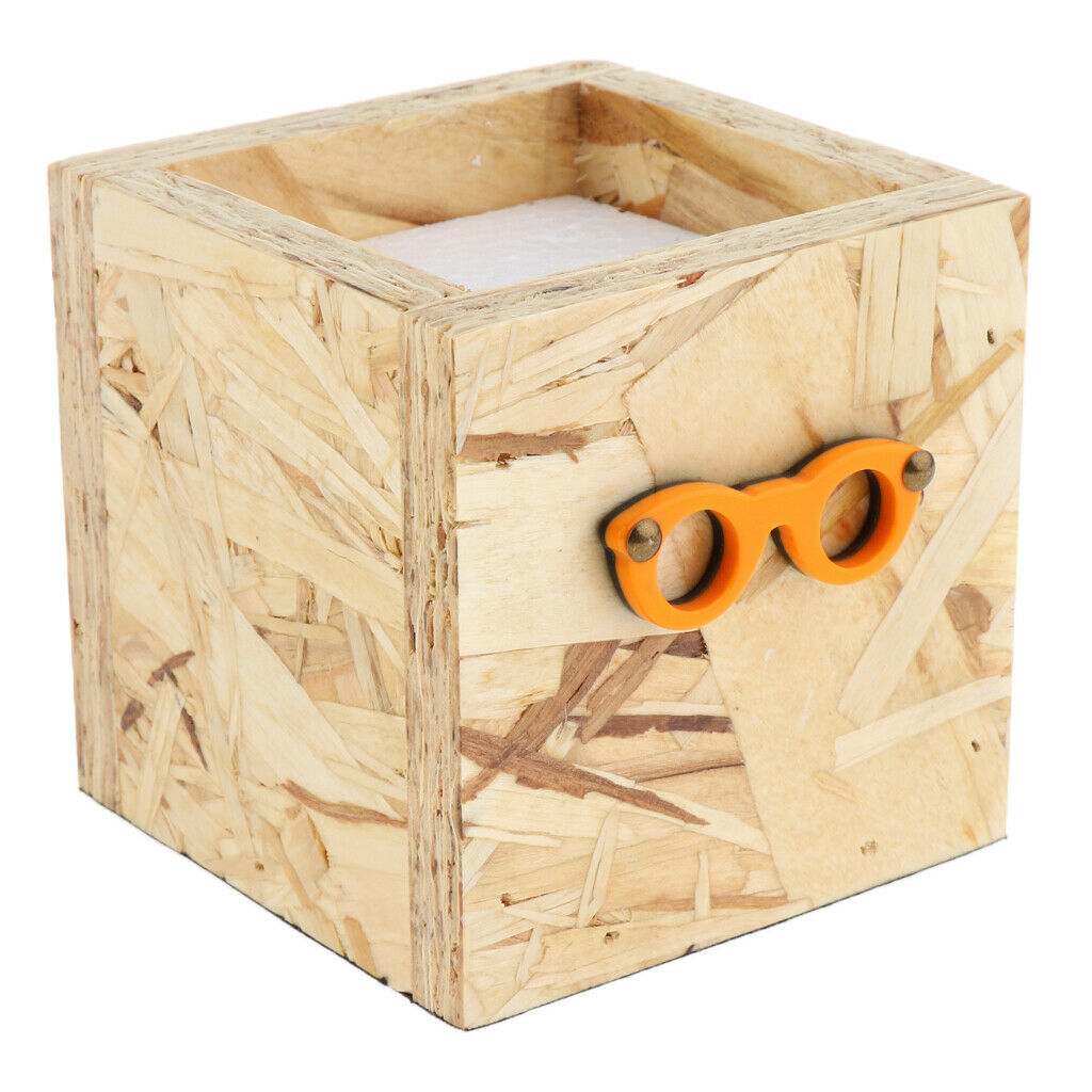 Eyeglasses Store Decoration Wooden Office Flower Pot Shop Decoration