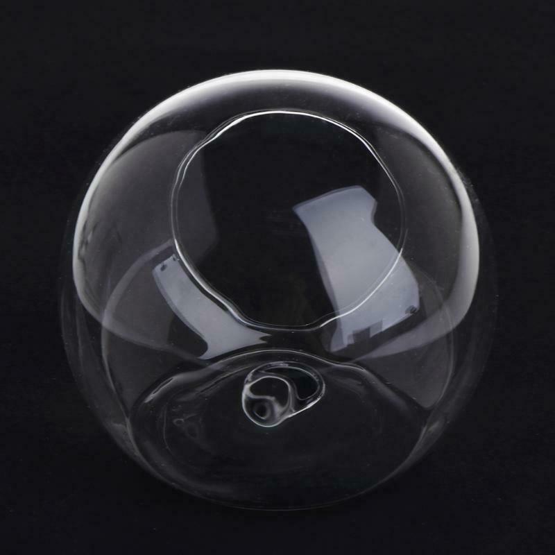 Glass Vase Wall Hanging Hydroponic Terrarium Fish Tanks Potted Plant Flower pot
