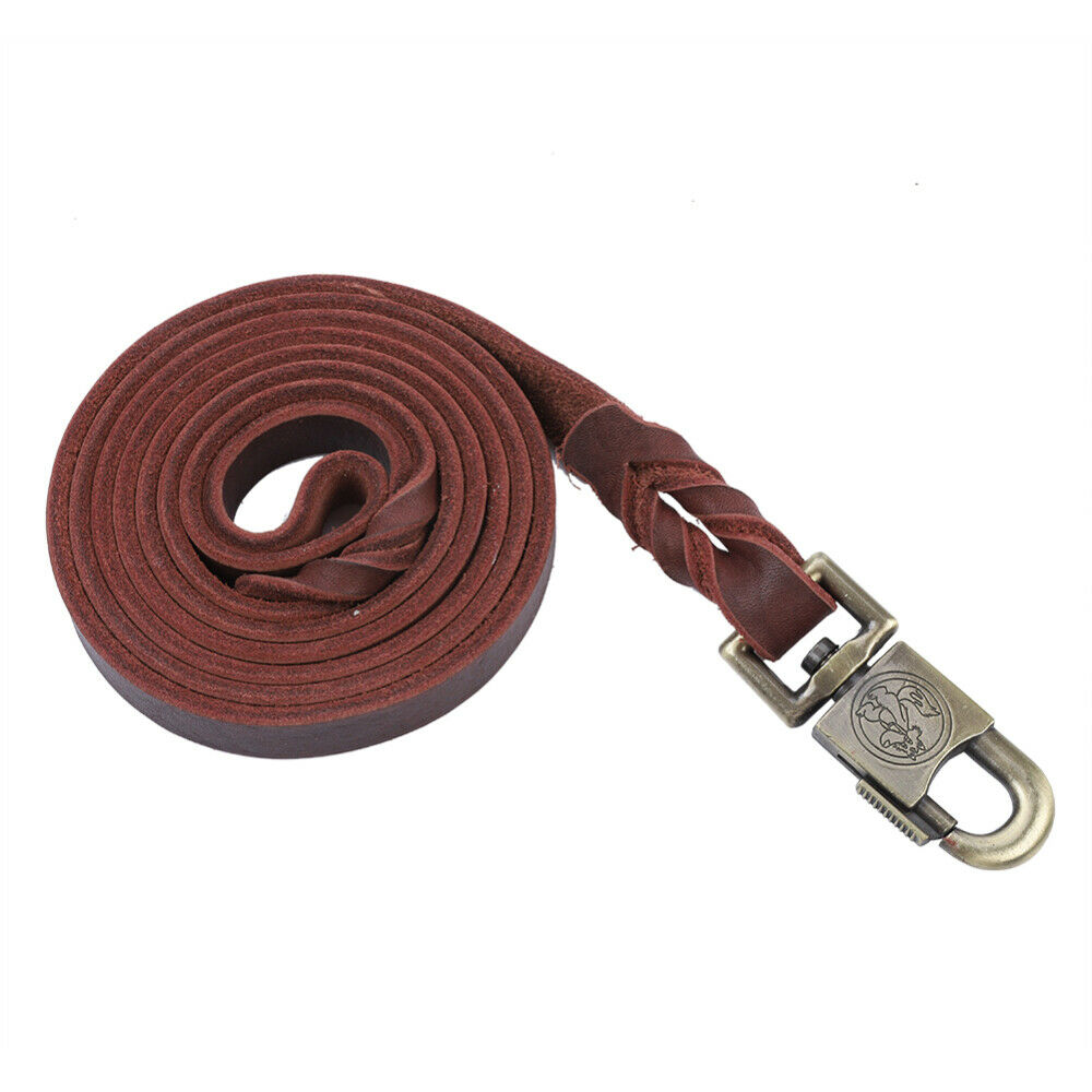 Durable Dog Training Leash Stylish Dog Strap for Medium Dogs for Large Dogs