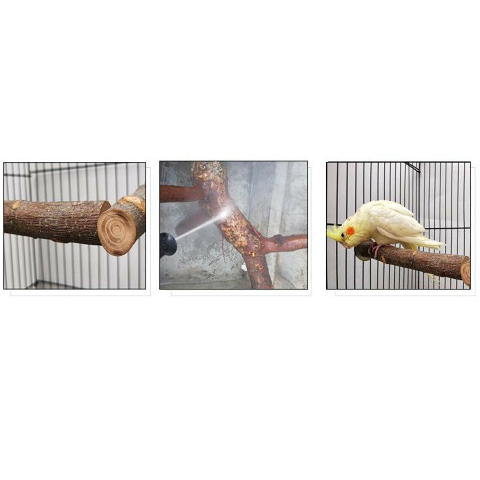 Bird Perch Wood Stick Paw Grinding Stand Birdcage Hanging Parakeets Canaries
