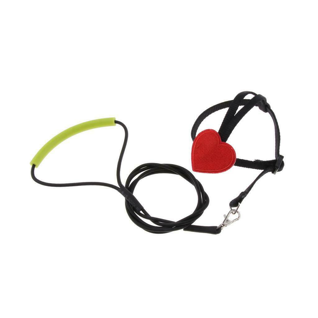 2 Pieces Parrots Birds Rope Parrots Harness Leash For Small Birds Finches