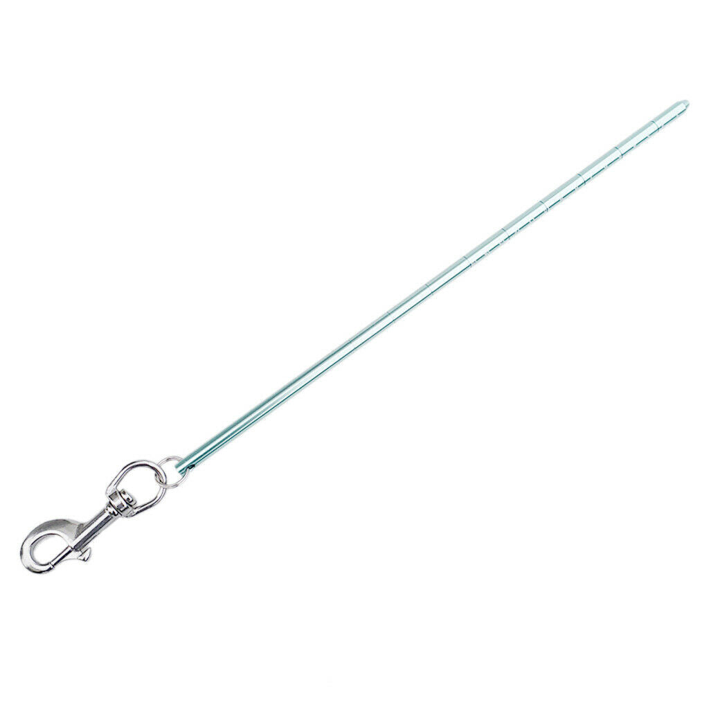 Scuba Diving Pointer with Bolt Snap green