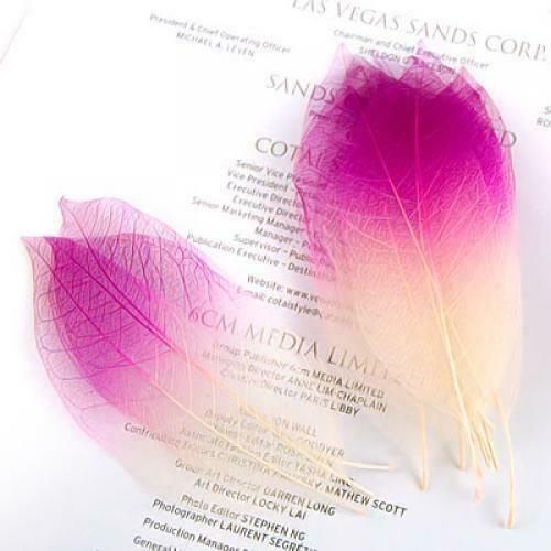 150pcs Natural Magnolia Skeleton Leaf Leaves for Card Making Scrapbooking