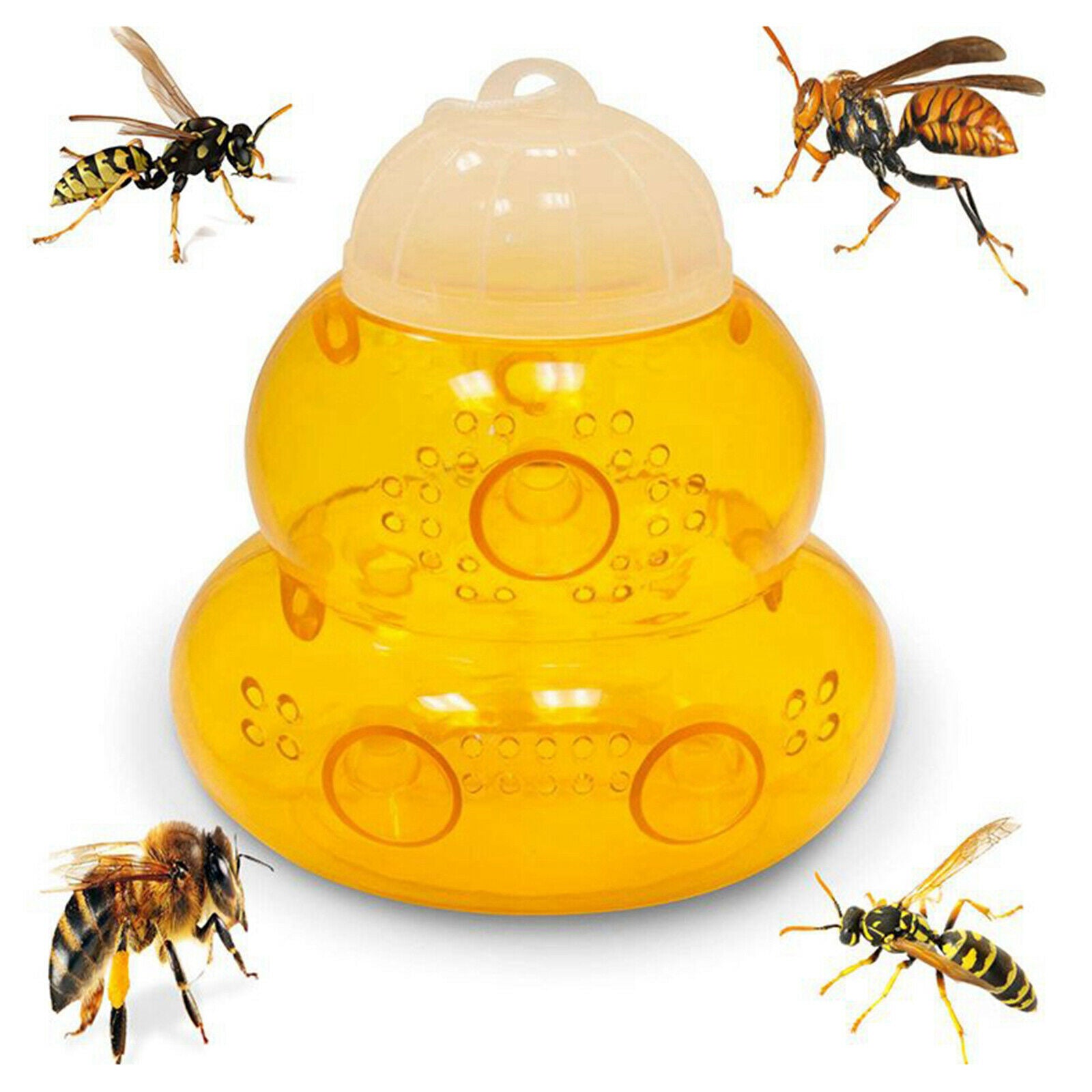 6pcs Beehive Wasp Trap Yellow Jackets Repellent Trap Traps for Home Garden