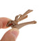 10 Piece Cute Acrylic Bow Hair Barrettes Clips Hairpins for Girls Skin