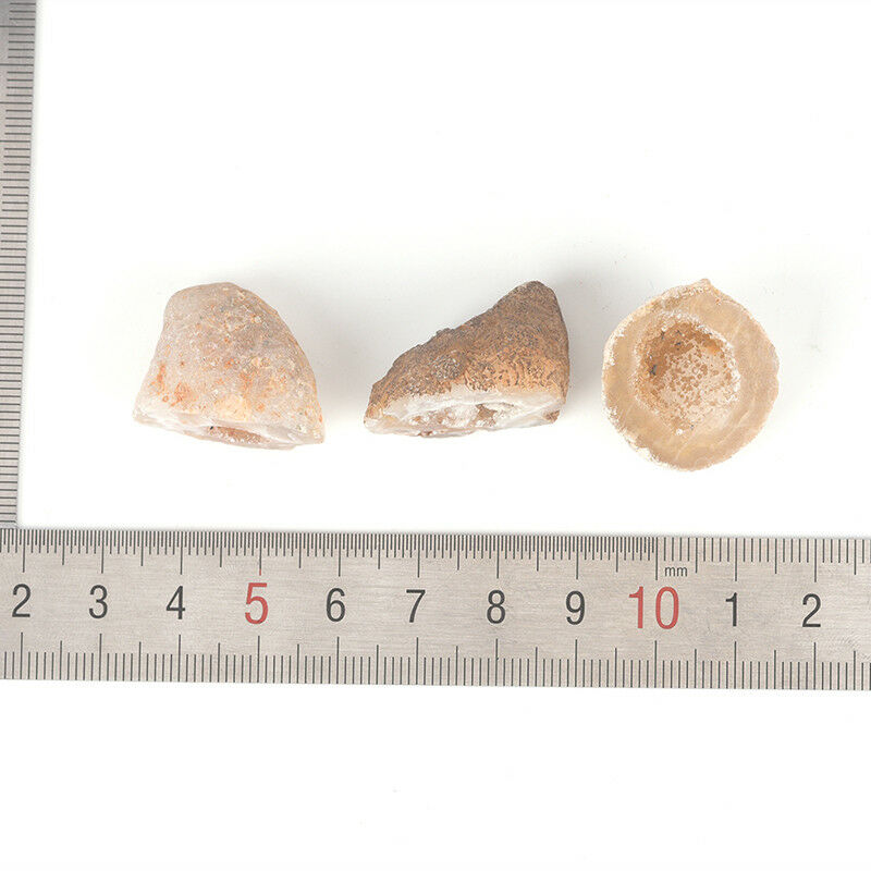 5Pcs Geodes Oco Agate Natural Crystals Druzy Halves Quartz Specimen.l8