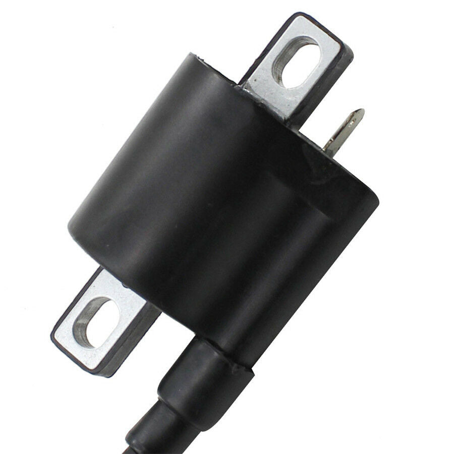 12V Ignition Coil For All Chinese Motor ATV Dirt Bike Go Kart Moped 50cc -250cc