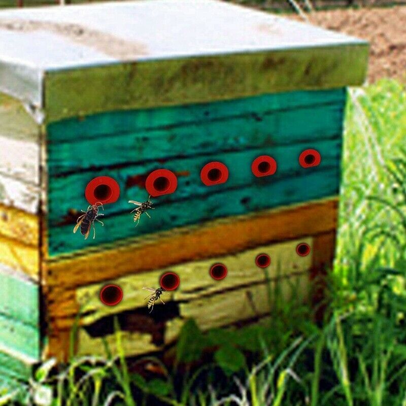 4X(Beekeeping Supplies,Beekeeping Tools Kit Include 1 Pcs Bee Feeder & Hone6)