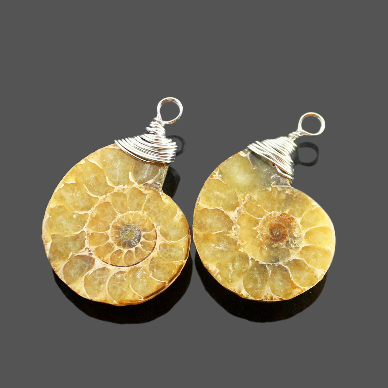 1Pc Natural Stone Ammonite Fossils Seashell Snail Conch Pendant Necklace Jewelry
