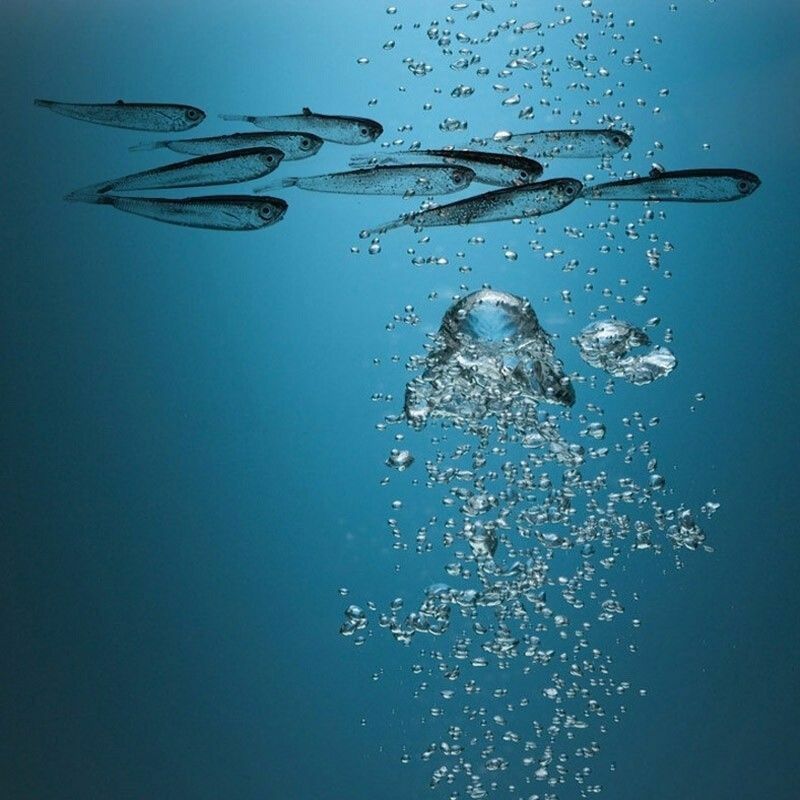 10X 75mm Soft Silicone Tiddler Bait Fluke Fish Fishing Lure Saltwater Lures Hook