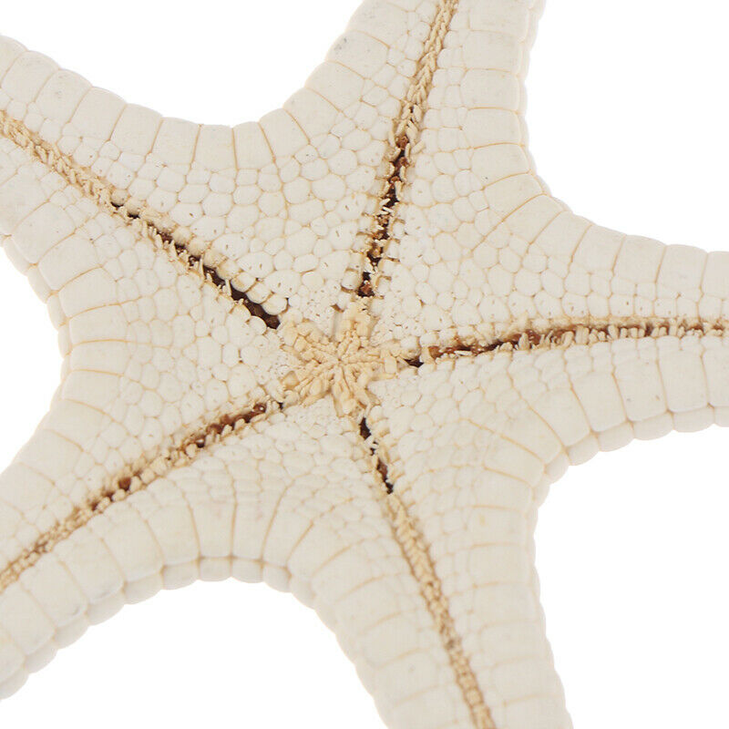 Starfish Crafts Decor Starfish DIY Shell Sea Fish Party Beige Starfish Decor Fx