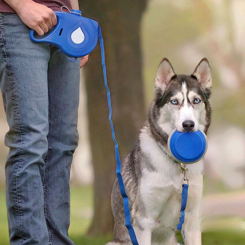 Retractable Dog Leash Nylon Foldable Travel Bowl Portable Puppy Water BottleBDA