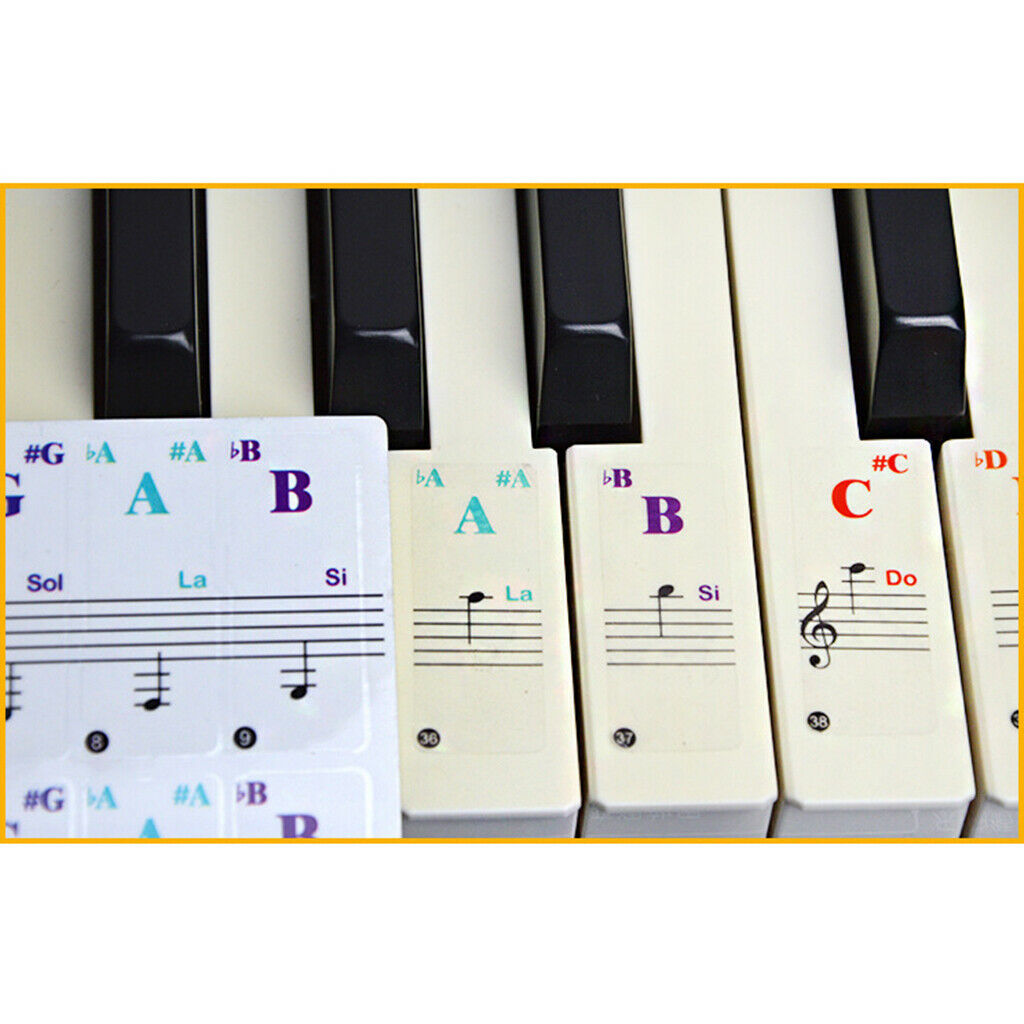 Piano & Keyboard Stickers for 37/54/61/88 Transparent Learning Practice