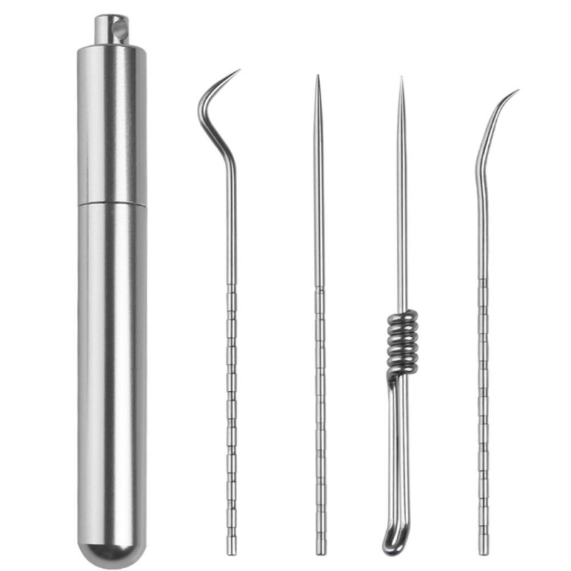 5pcs Stainlesss Steel Portable Toothpick  Care + Toothpick Holder Tool Set