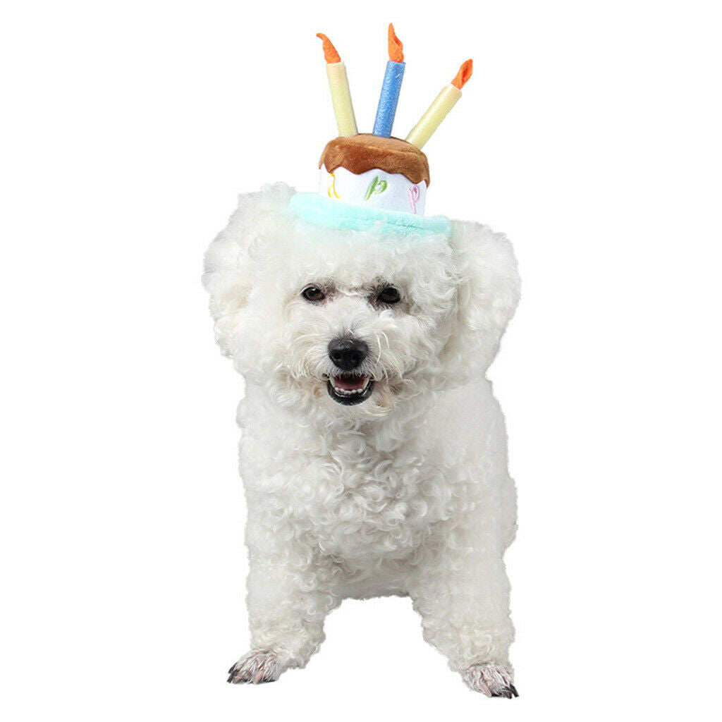 Dog Cat Birthday Hat Cute Lovely Pet Happy Birthday Hat Headwear Party 1