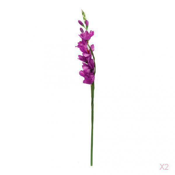 2 Pack Natural Artificial Silk Long Gladiolas with Stem, Silk Flower