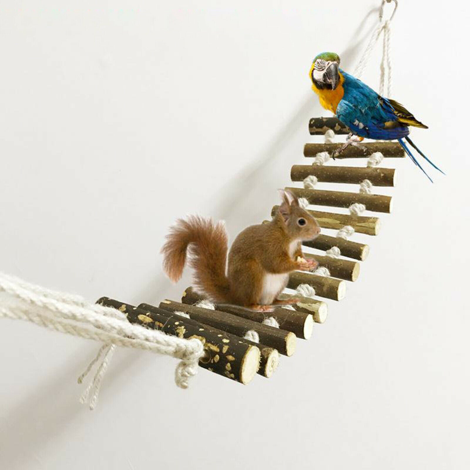 Pet Ladder, Bird Toys for Parrots, Macaws, African Grays, Parakeets, Cockatoos,