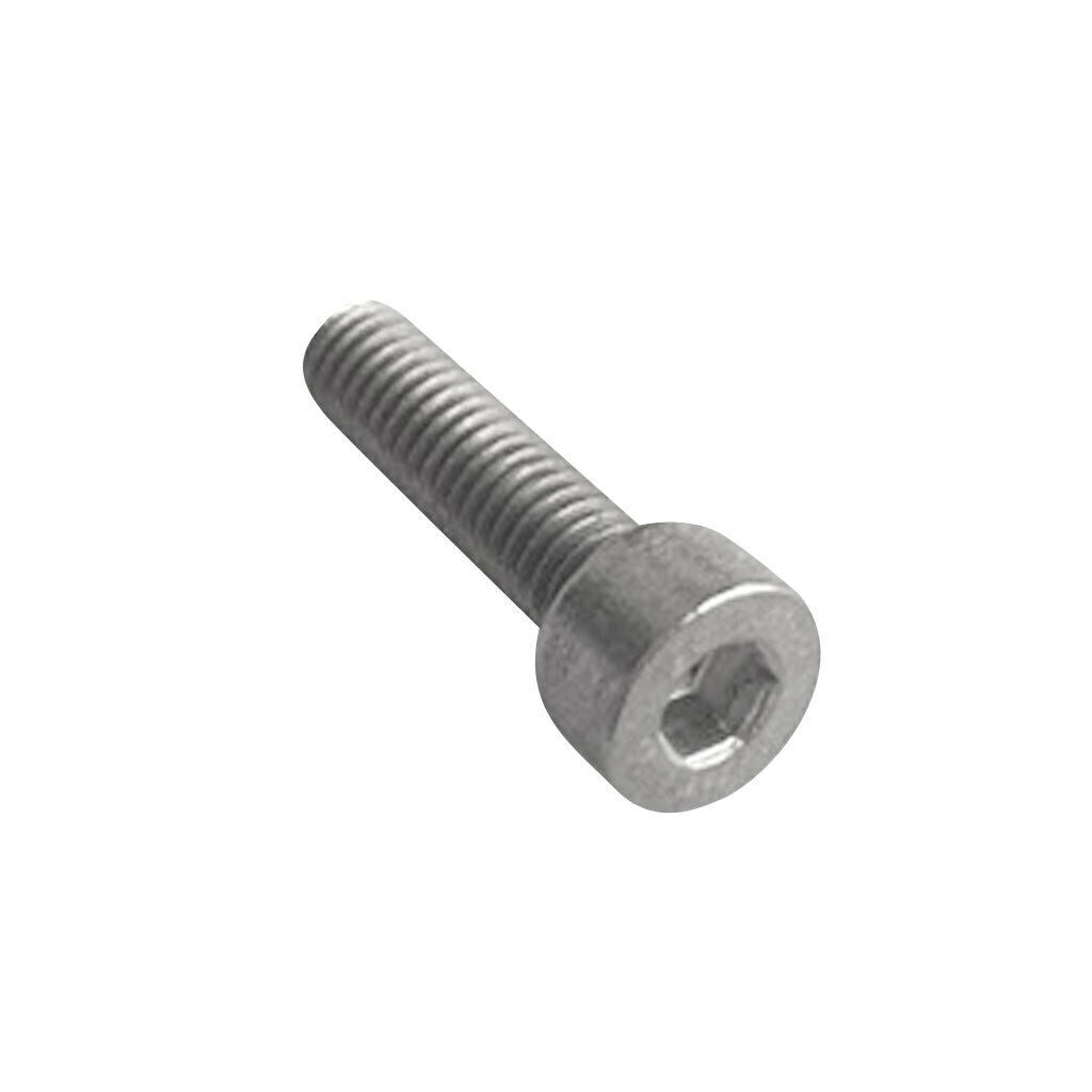 10pcs M6*8 Titanium GR1 TA1 Hexagon   Head Tapered Socket Bolts Screws
