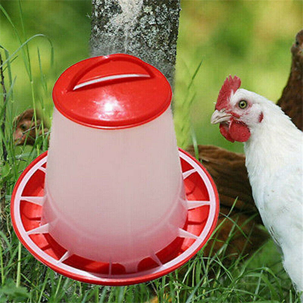 Automatic Chicken Bird Chook Poultry Feeder Drinker Chicken Poultry Waterer