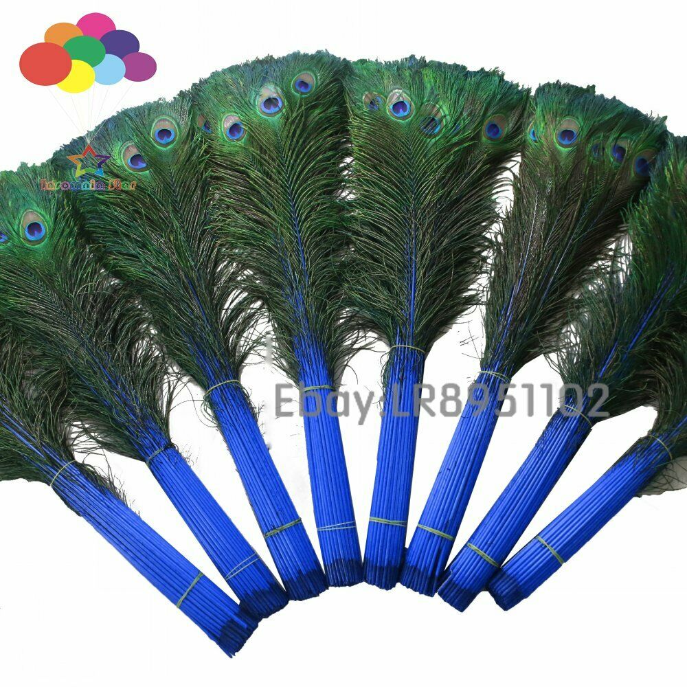 100 Pcs sapphire Real Peacock Feathers 70-80cm Feathers for Crafts Wedding