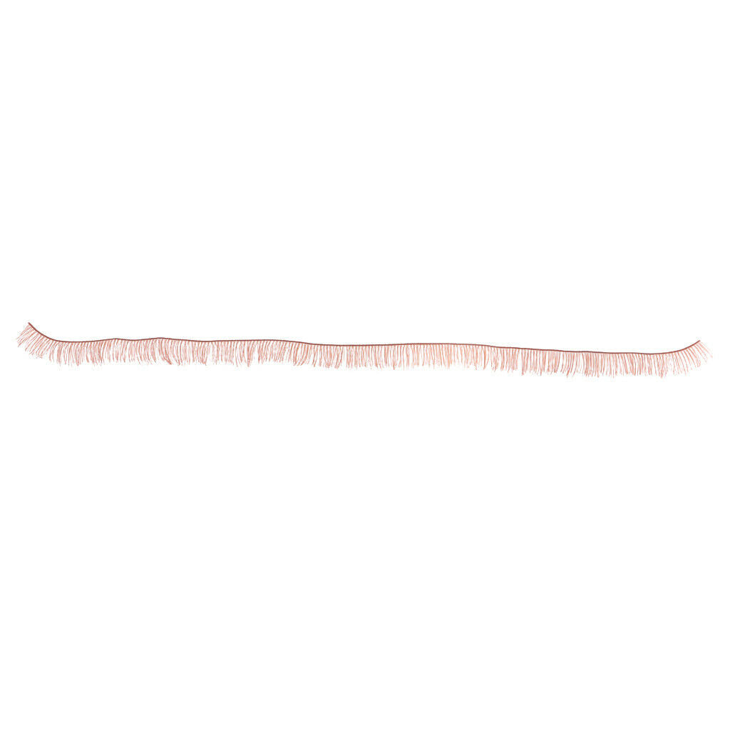 20pcs Eyelash Extension Kits Set False Lashes Tool Curly Eyelashes For Makeup