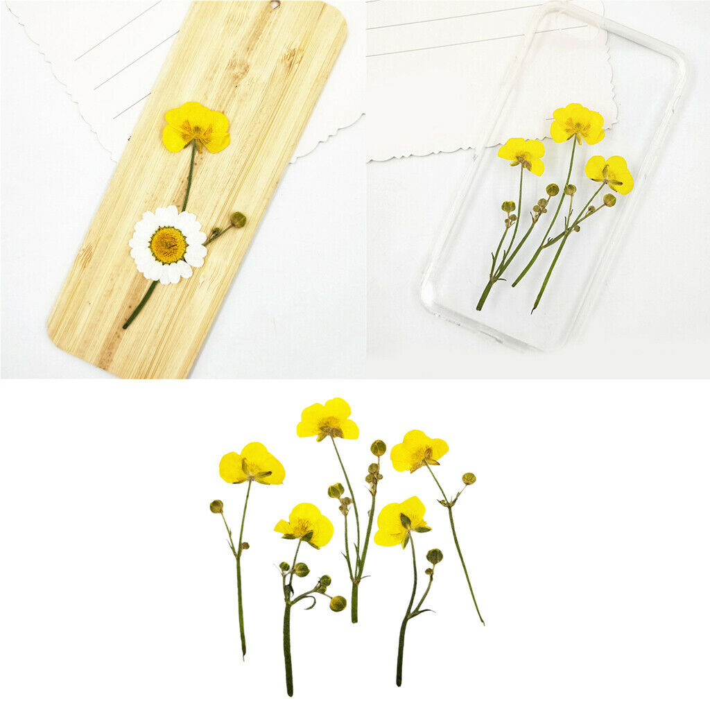 16x Real Dried Flowers Leaves Bookmark Jewelry Soap Making Wedding Nail Art