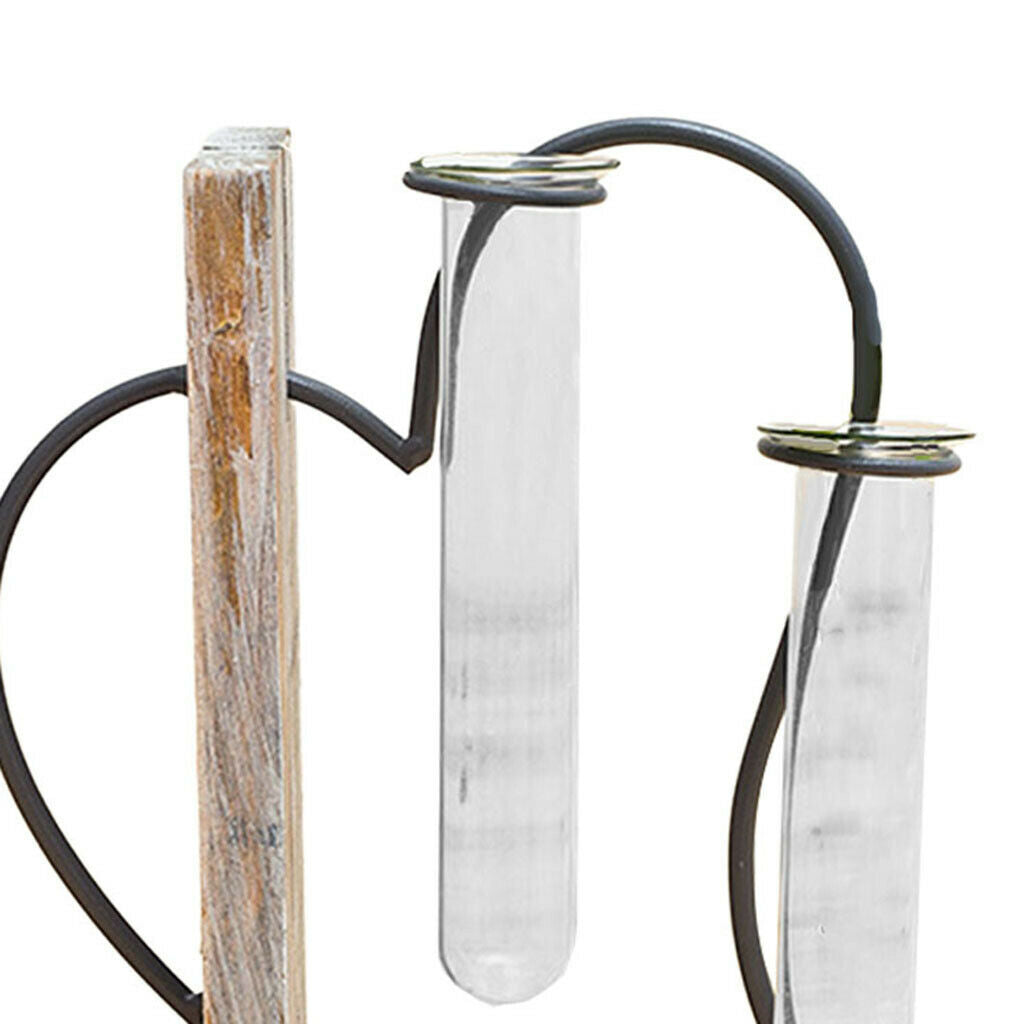 Flower Vase 2 Test Tube Plant Terrarium Centerpiece Planter Home Office