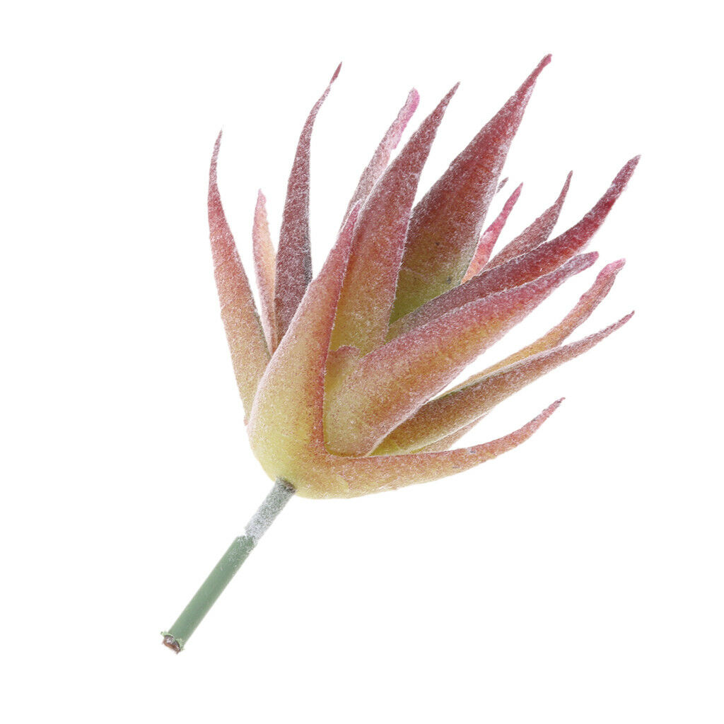 Artificial Succulent Plant Grass Foliage DIY Micro Landscape Floral Decor