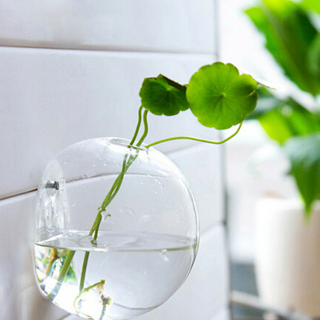 Wall Mouted Creative Hanging Glass Flower Vase Hydroponics Bottle   Bowl