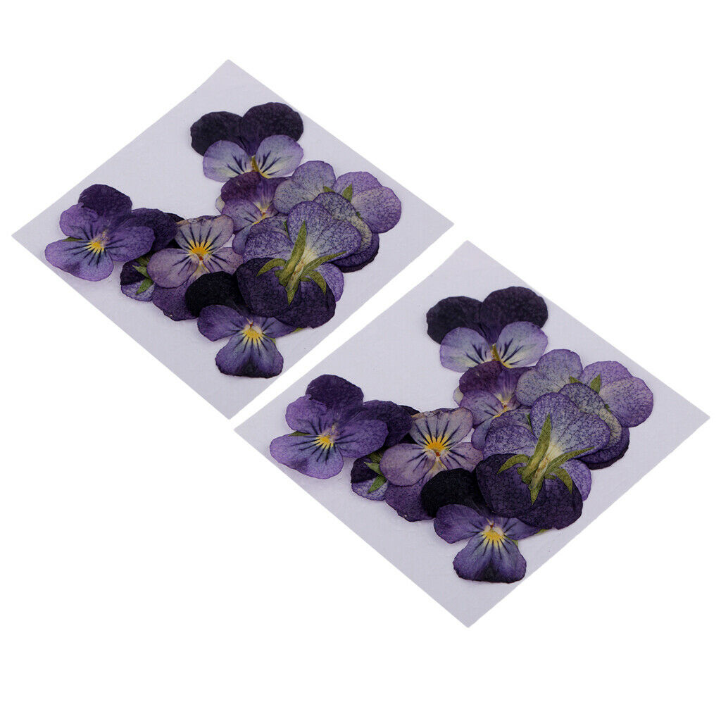 24Pcs Dried Pressed Flowers DIY Scrapbooking Real Dried Flower Supplies