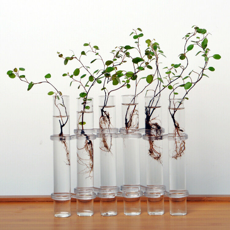 6x Glass Tubes Shape Hanging Hydroponic Flower Plant Vase Terrarium Container