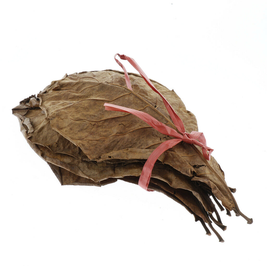 10pcs Leaves For Freshwater Aquariums