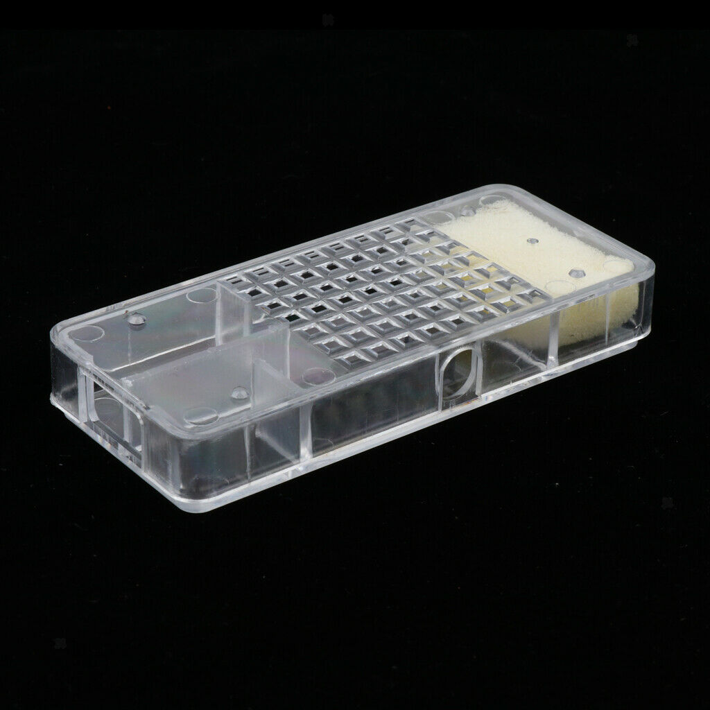 Queen Bee Cage Box / Bee Catcher / Cage for Transporting Bee Beekeeping Tool