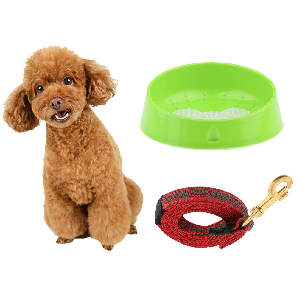 Nylon Pet Dog Leash Puppy Walking Strong Rope Training Strap Leash