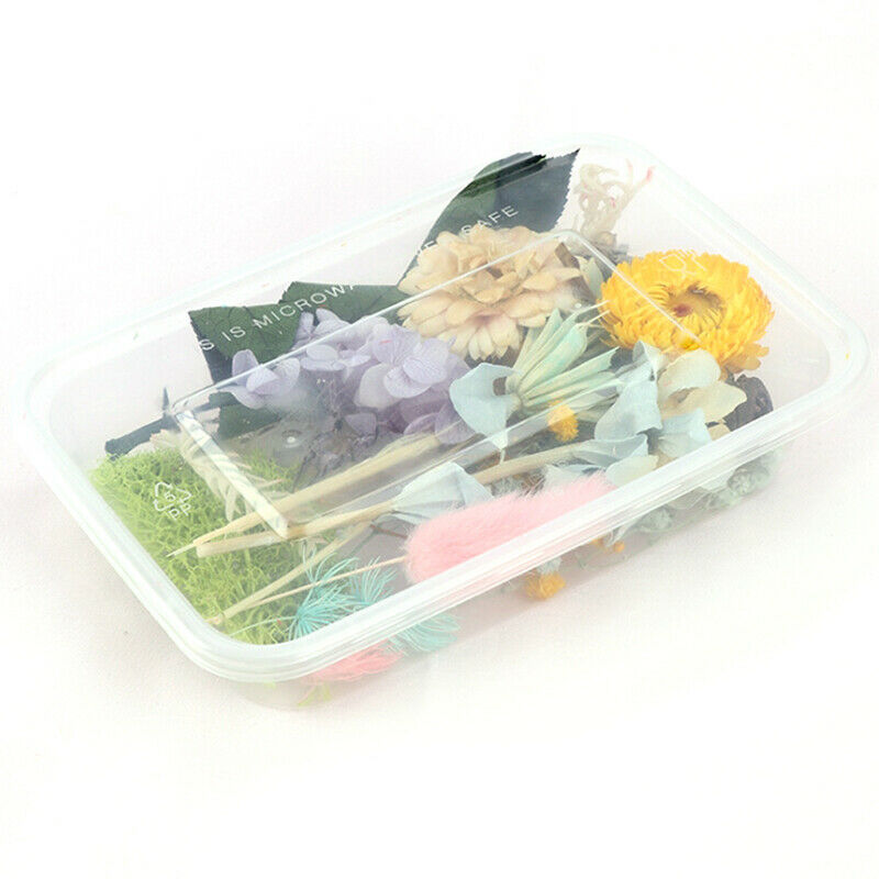 1Box Random Real Dried Flower Dry Plants DIY Aromatherapy Candle Epoxy Re.l8