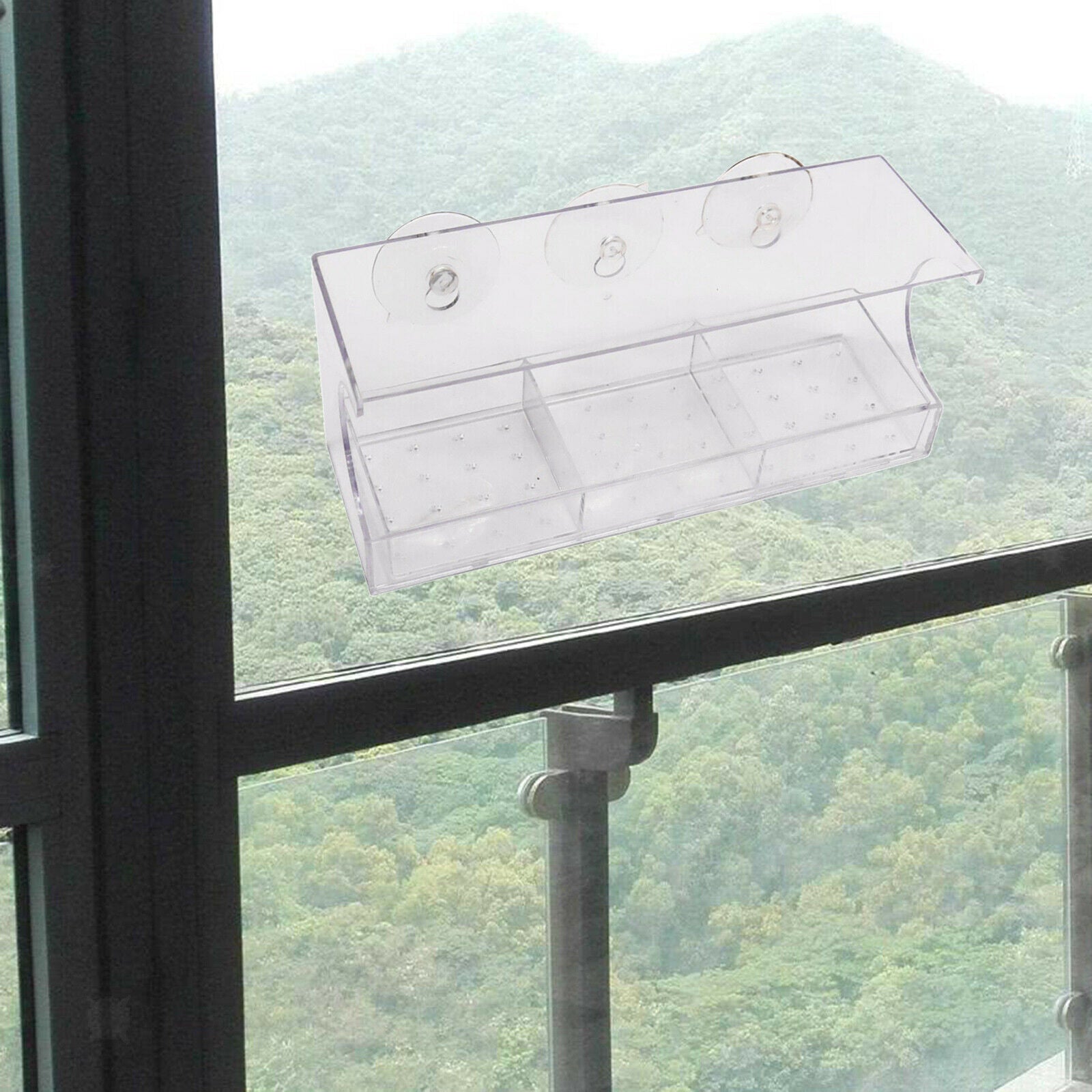 Window Bird Feeder Transparent Viewing Compact for Wild Birds Blue Bird
