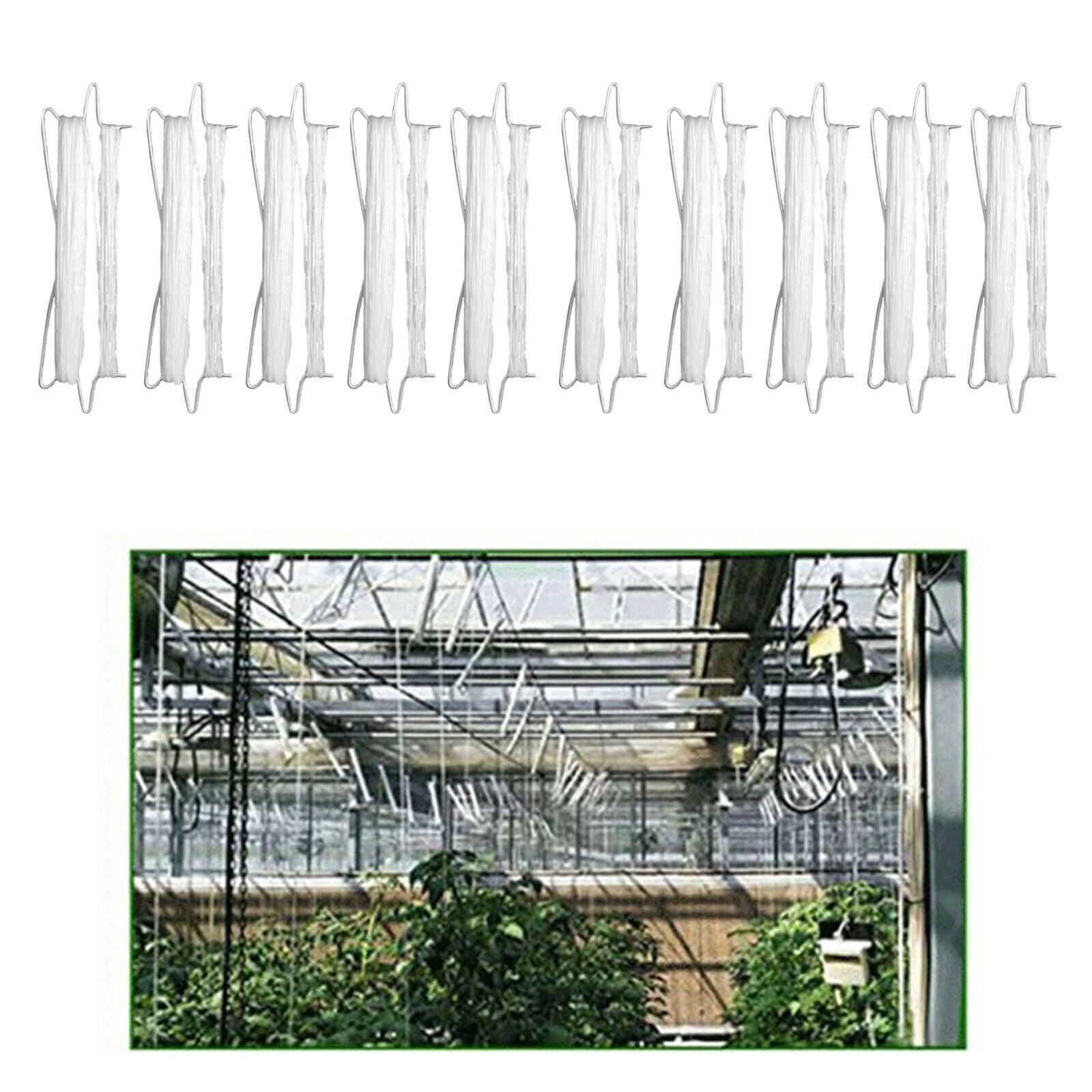 10x Tomato Double Hook Planting Cucumber Fruit Tomato Support Hook