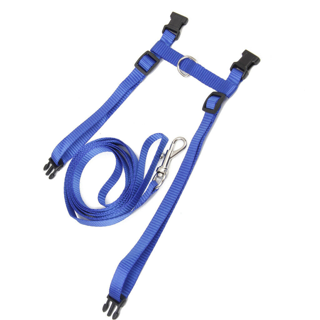 Blue Adjustable Pet Cat Kitten Belt Nylon Collar Leash Harness Safety Strap