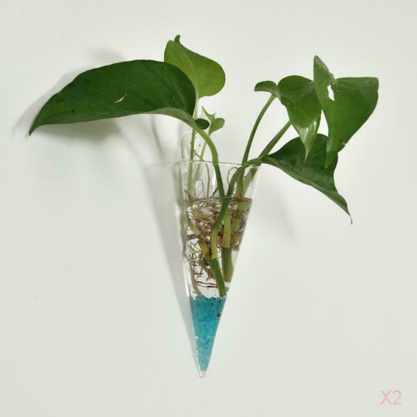 2 Pieces Planter Conoid Hanging Vase Plant Terrarium Flowerpot Office Decors