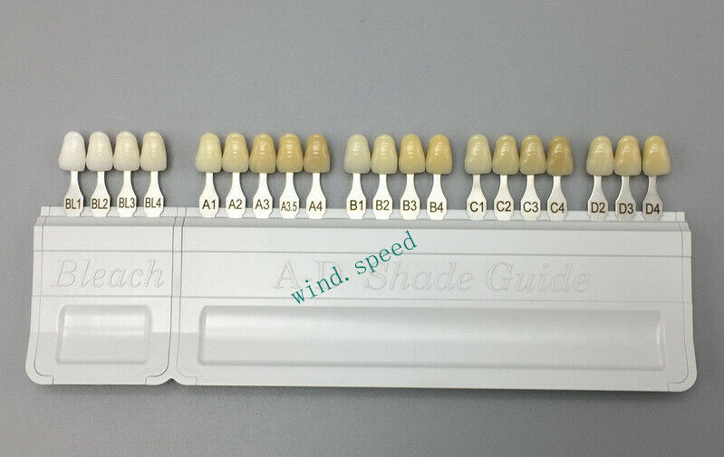 lvoclar Vivadent Dental Teeth Shade Guide A-D 20 color Porcelain Tooth Bas VITA